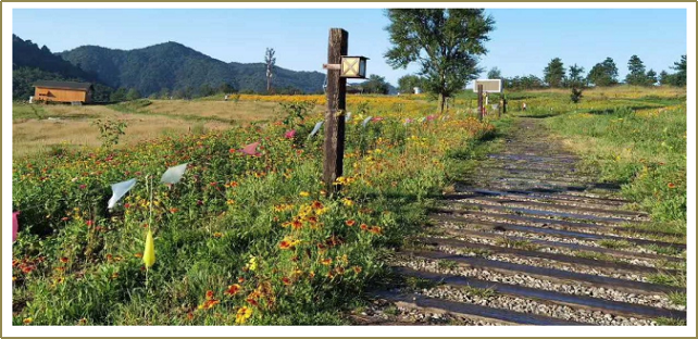 191705636350524463.jpg 9.jpg