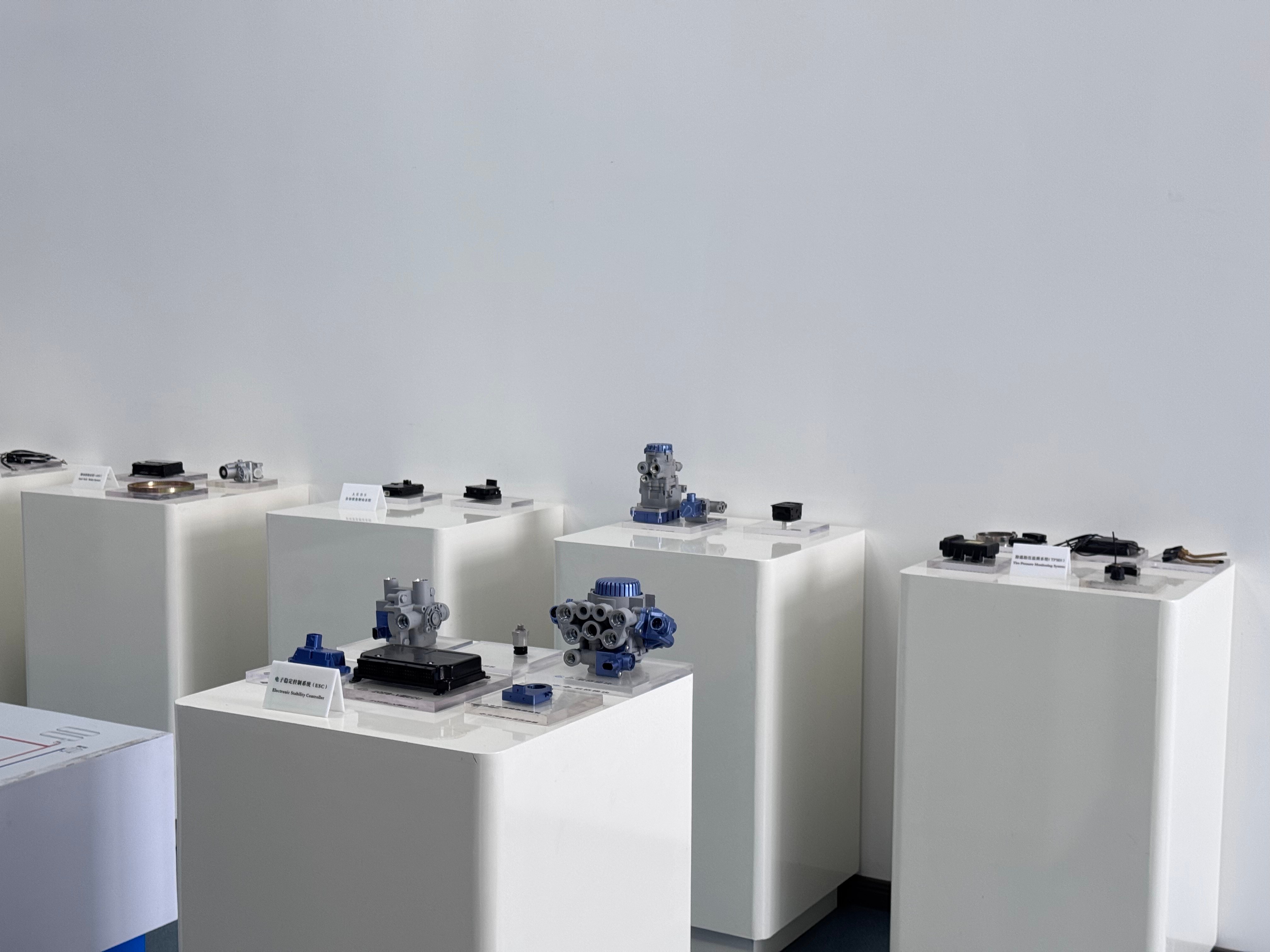 301761804242164518.jpg 2(1).jpg